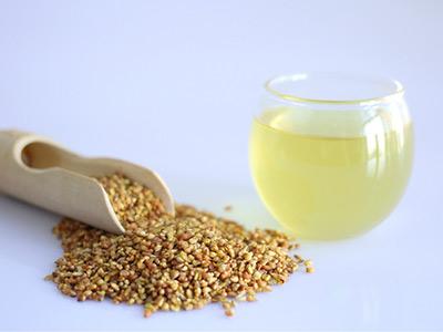  苦荞茶有什么功效 苦荞茶的食用方法