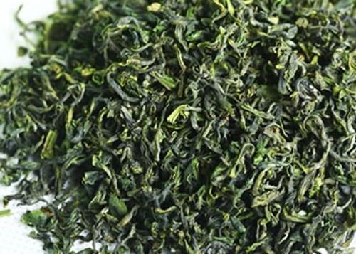  日照绿茶市场报价多少钱一斤 日照绿茶市场价格如何