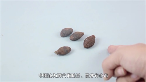 怎么辨别胖大海的好坏？