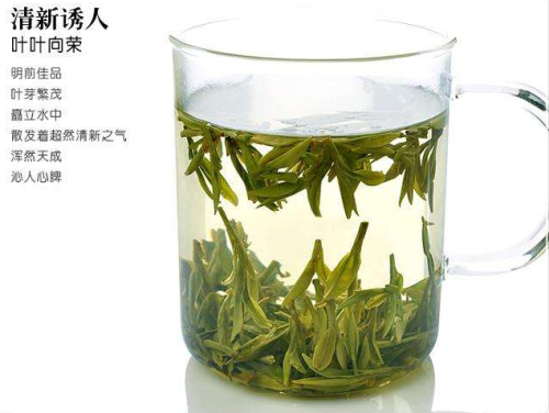 怎么鉴别西湖龙井