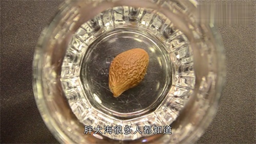 夏季喝胖大海茶的几种禁忌