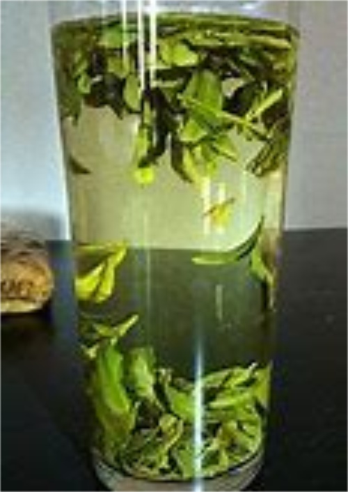 正宗西湖龙井茶的鉴别