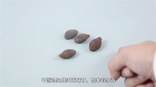 常含胖大海有副作用是什么？吗