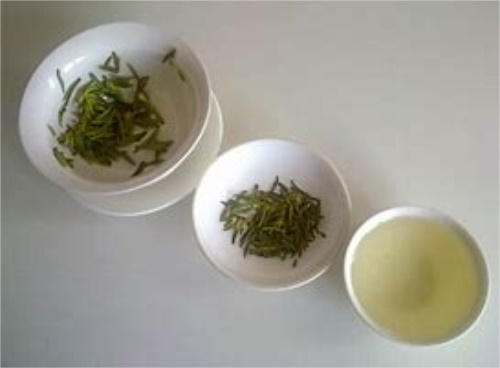 菊花茶的价格