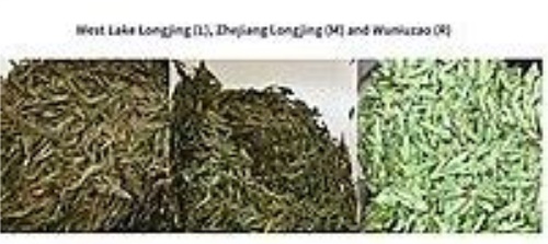 正宗西湖龙井茶的鉴别