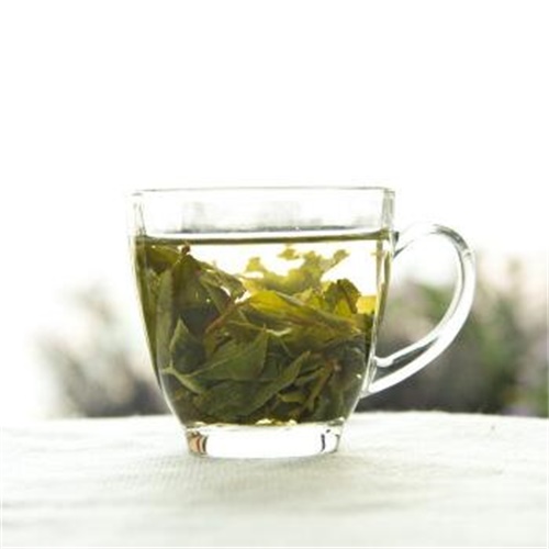  铁观音归属于哪一种茶？茶是怎样归类的？