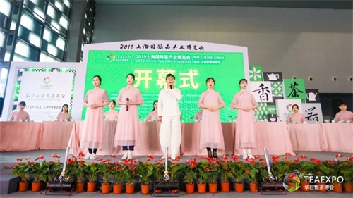  2019年11月底上海国际茶产业博展会圆满结束！