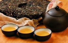  普洱茶属于什么茶 普洱茶是红茶还是绿茶 普洱茶子名要哪些